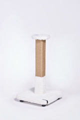Salix