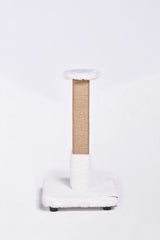 Salix