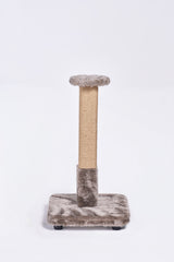 Salix